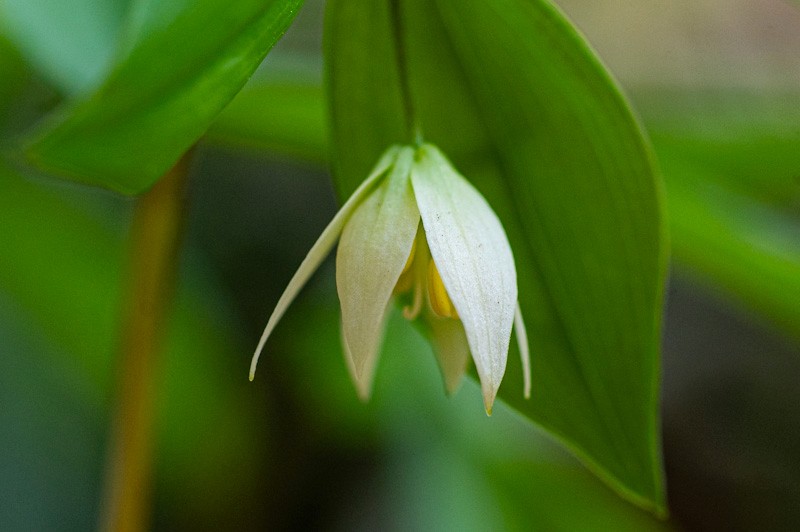 高尾ビジターセンター【公式】 tweet media