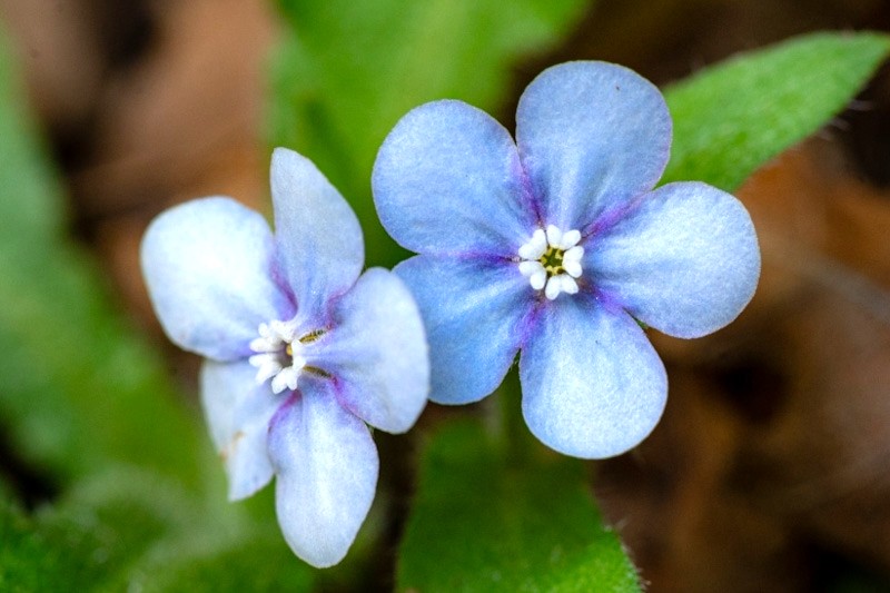 高尾ビジターセンター【公式】 tweet media