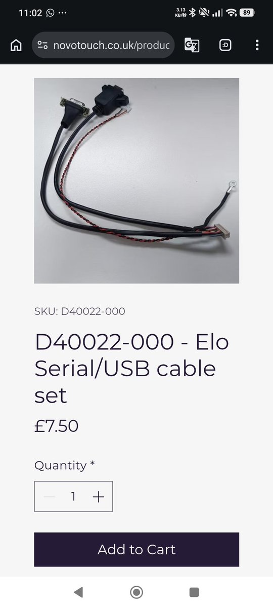 青緑龍(びじむと) tweet media