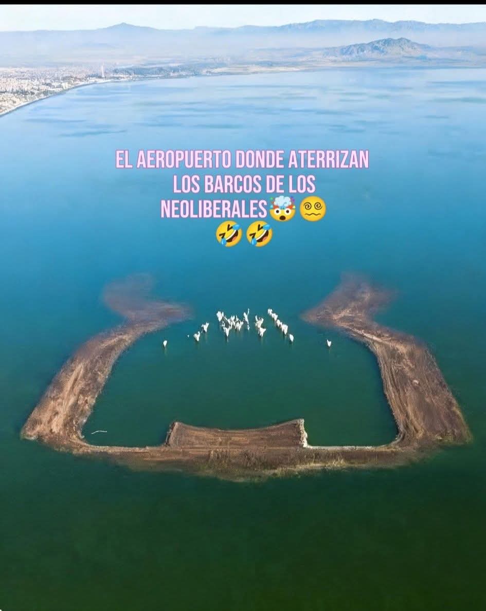 Jorge GoCha tweet media