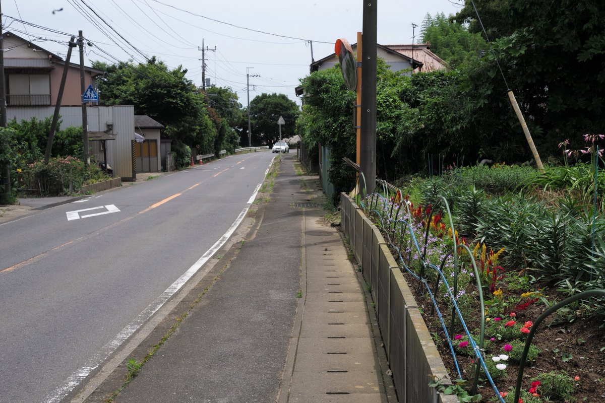 hatchcamera's tweet photo. 「銚子街道十九里半」
千葉県銚子市（2024年）　
#leicamp
#leica
#銚子街道十九里半
#streetphoto
#streetphotography 
#straightphotography
#hatchcamera https://t.co/HXZio0vIJl