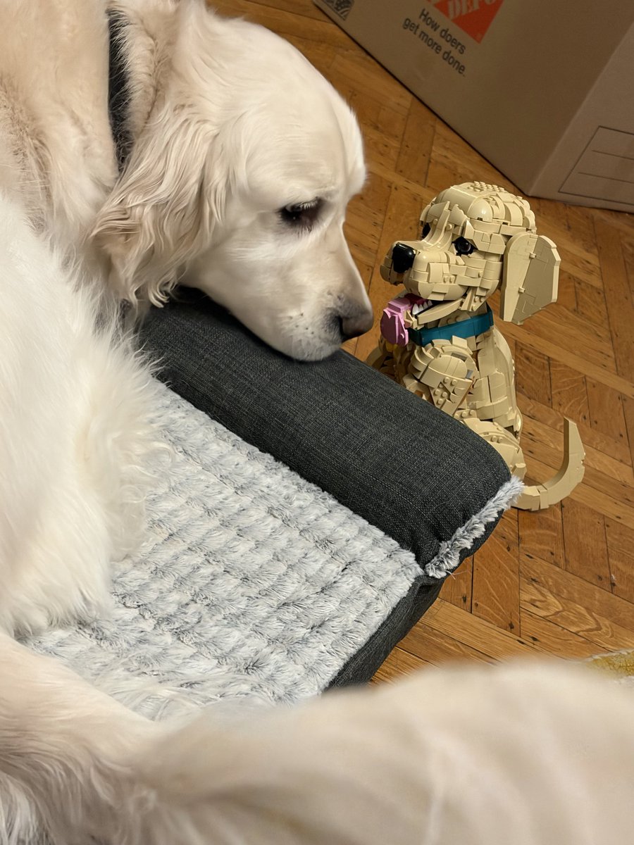 Kristina Ten | @kristinaten on Bluesky tweet media