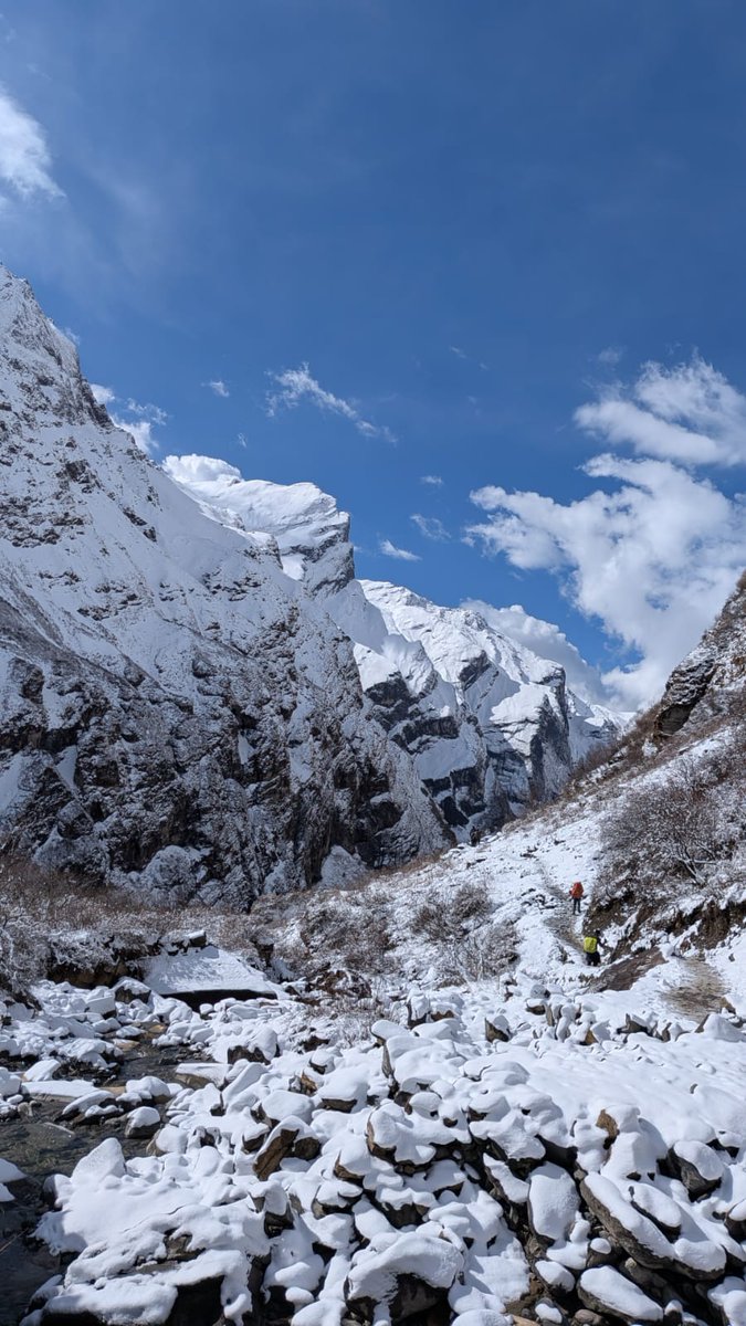 Aditya Jha | 𑒂𑒠𑒱𑒞𑓂𑒨 𑒗𑒰 tweet media