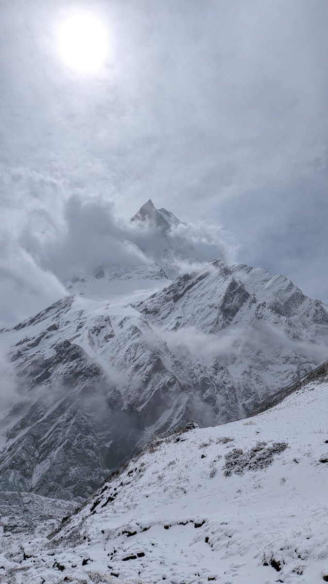 Aditya Jha | 𑒂𑒠𑒱𑒞𑓂𑒨 𑒗𑒰 tweet media