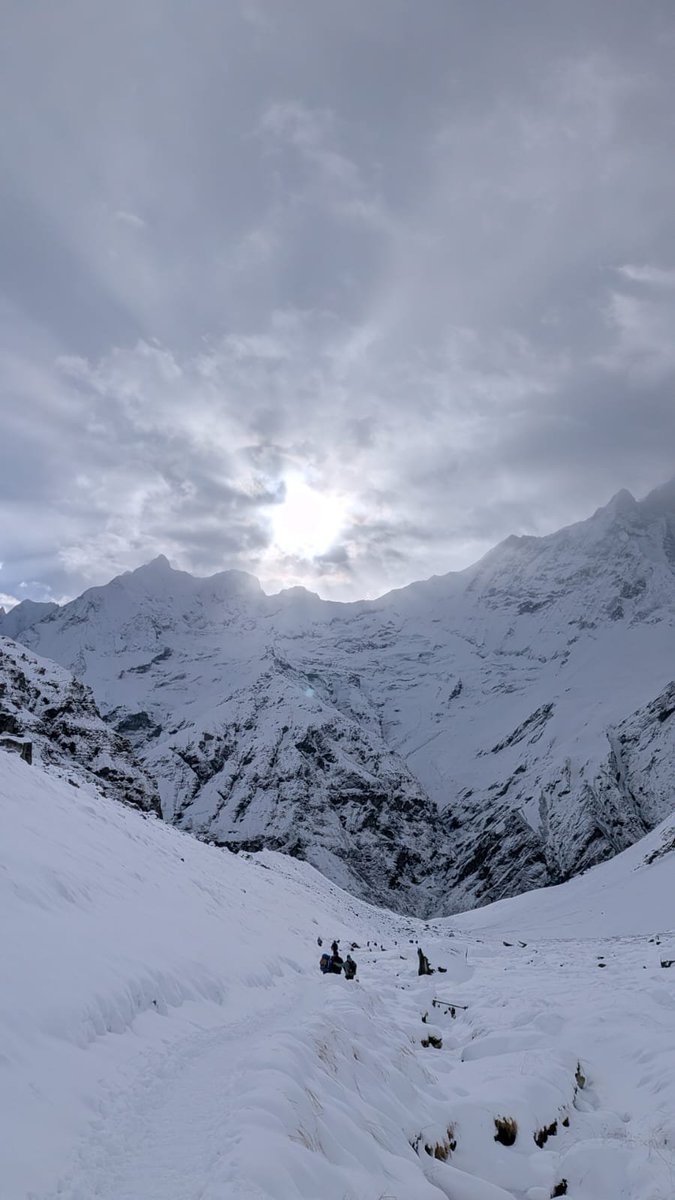 Aditya Jha | 𑒂𑒠𑒱𑒞𑓂𑒨 𑒗𑒰 tweet media