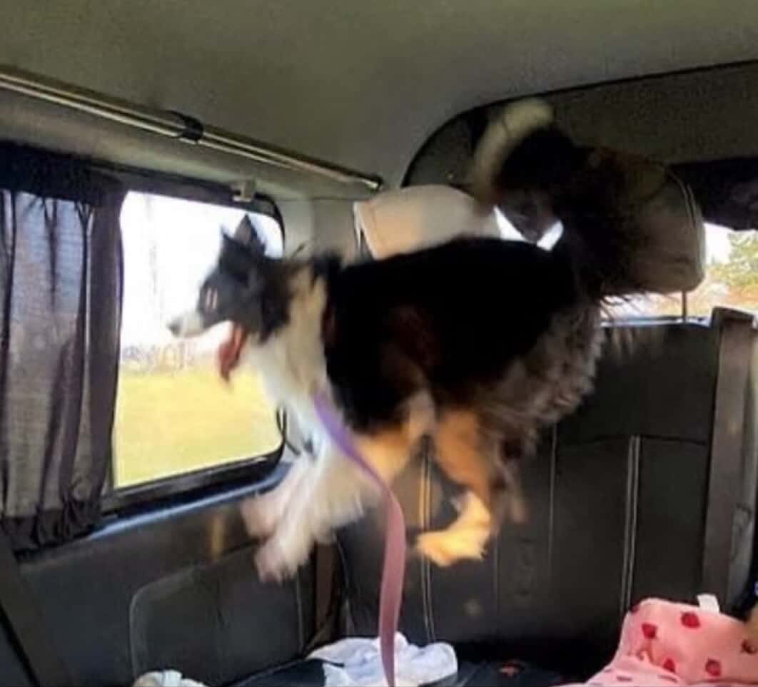 ǝǝɔɐɹƃ ⋆˚࿔ tweet media