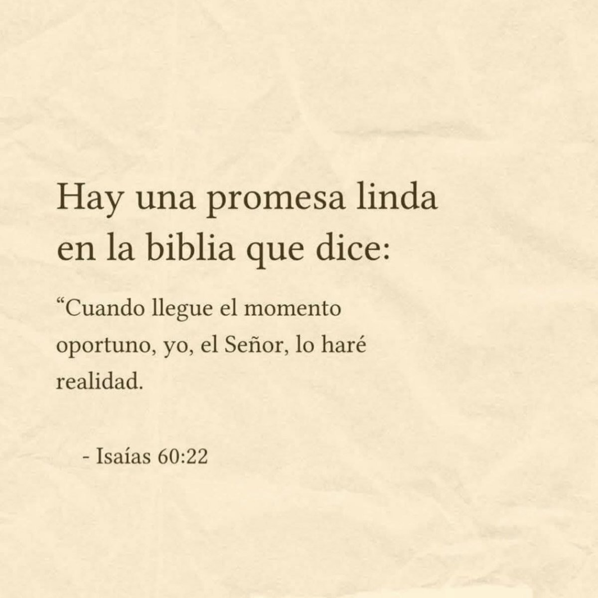 El Salmista tweet media