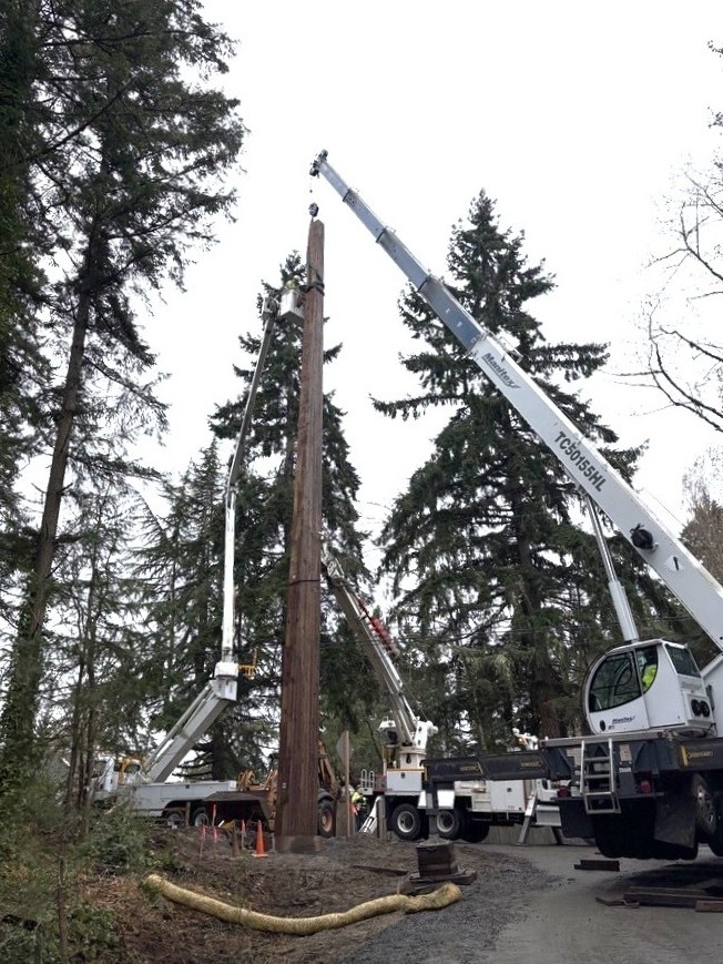 Puget Sound Energy tweet media