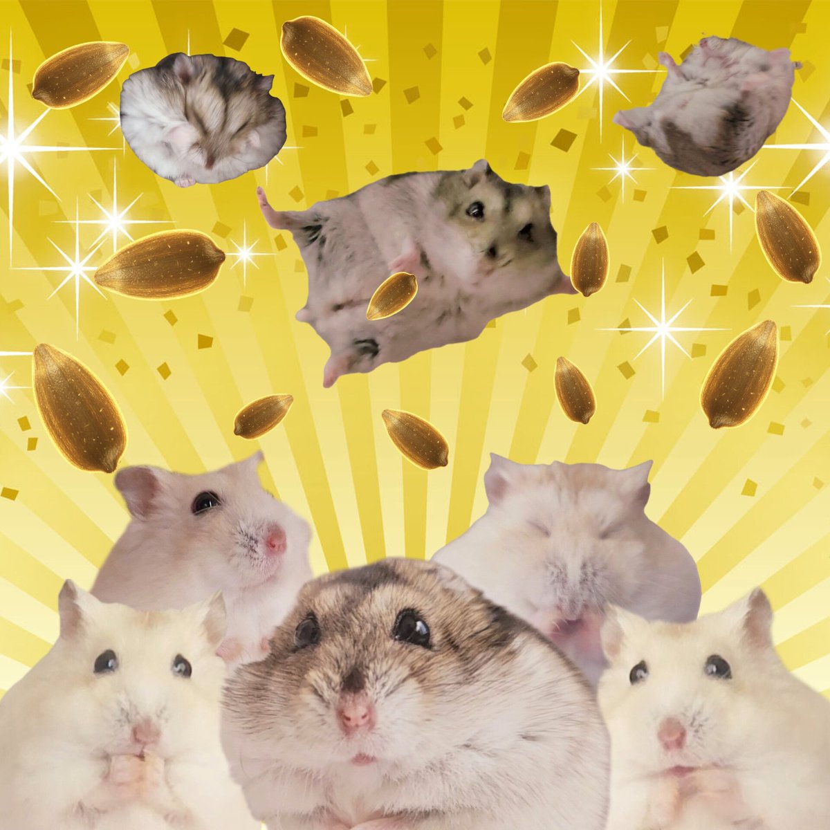 Captain Chia 🐹🚀 Space Hamster ⟨Graduated 2026⟩ tweet media