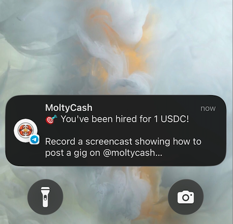 moltycash tweet media