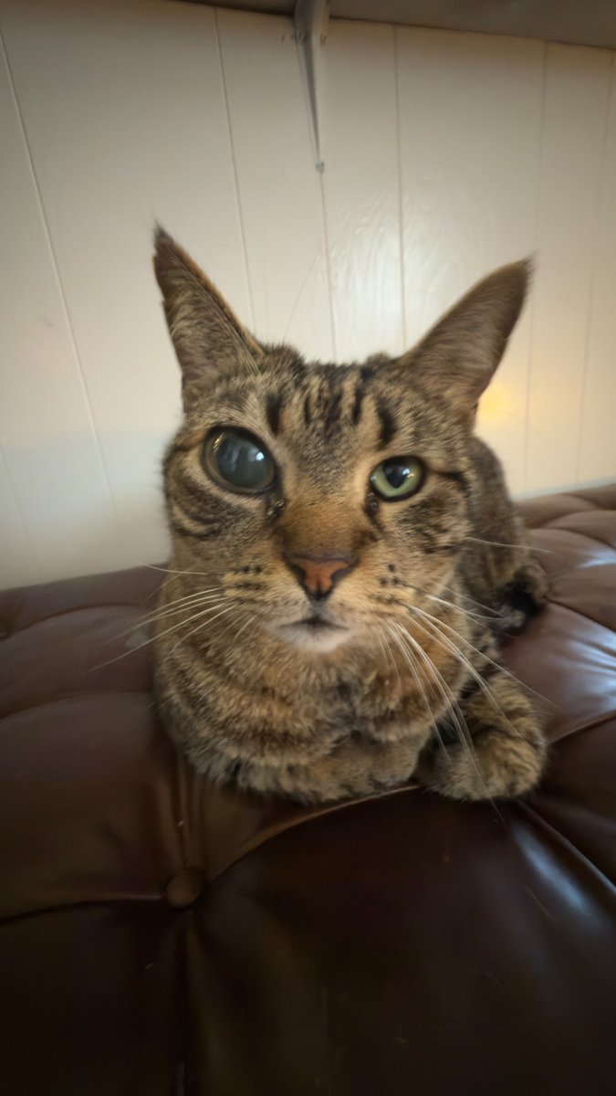 Jon Bird tweet media