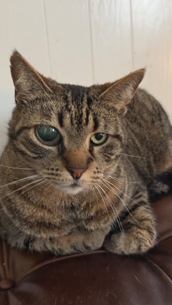 Jon Bird tweet media