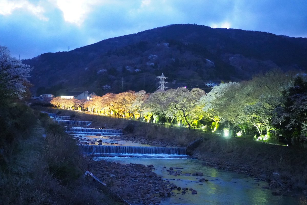 けいちゃん tweet media