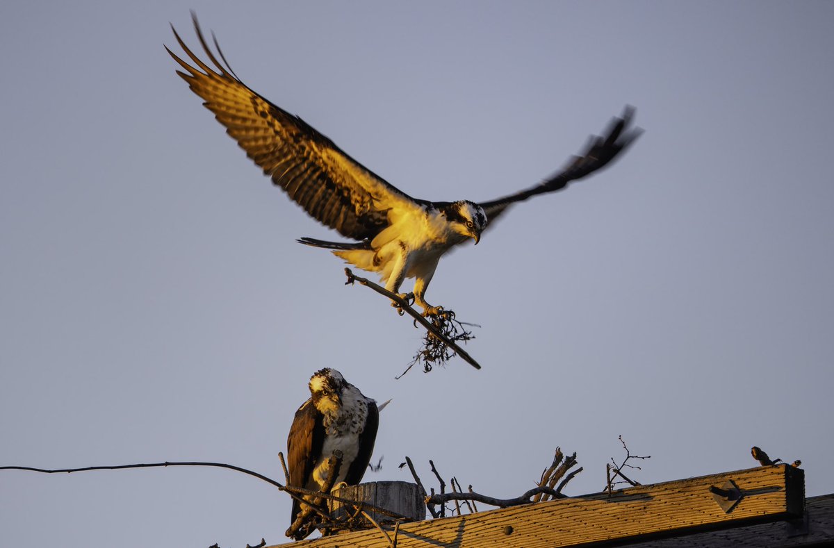 NBC10 Boston tweet media