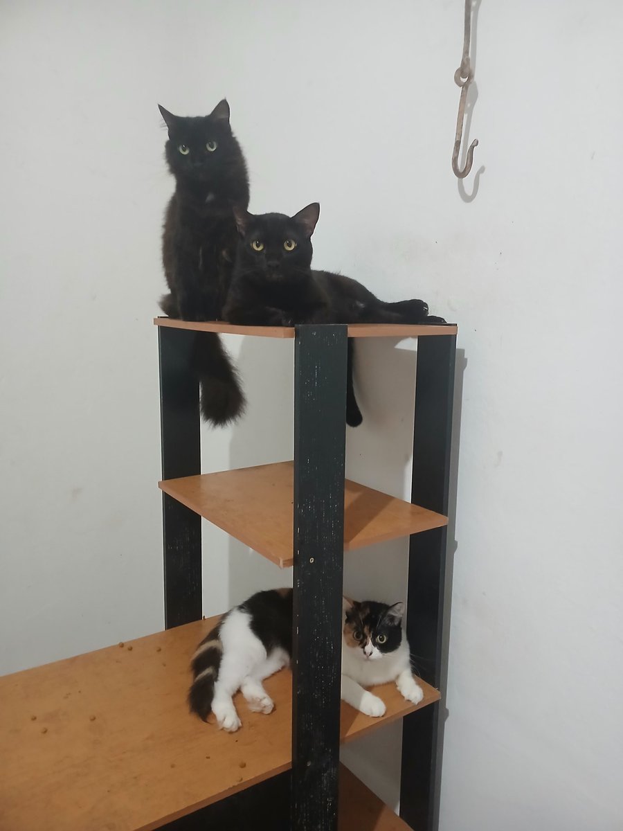 Alprazolane tweet media