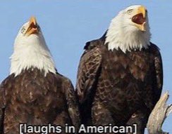 Dee Watkins tweet media