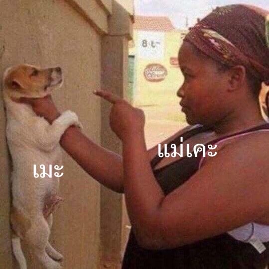 นายกเปาแฮนซั่มแอนคูล ☺️(ไฮโซเมืองสุพรรณ) tweet media