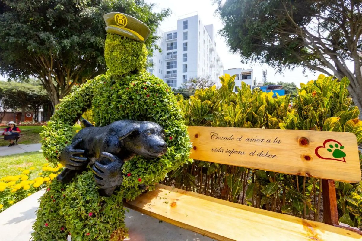 🕊️🫡🌳El parque central de la urbanización Sagitario, en Santiago de Surco, se llama ahora parque Suboficial de Primera PNP Patrick Hiroshi Ospina Orihuela, en homenaje al policía y bombero que entregó su vida rescatando a un perro en el río Rímac 🚨🐾. ow.ly/HqQi50YGiia