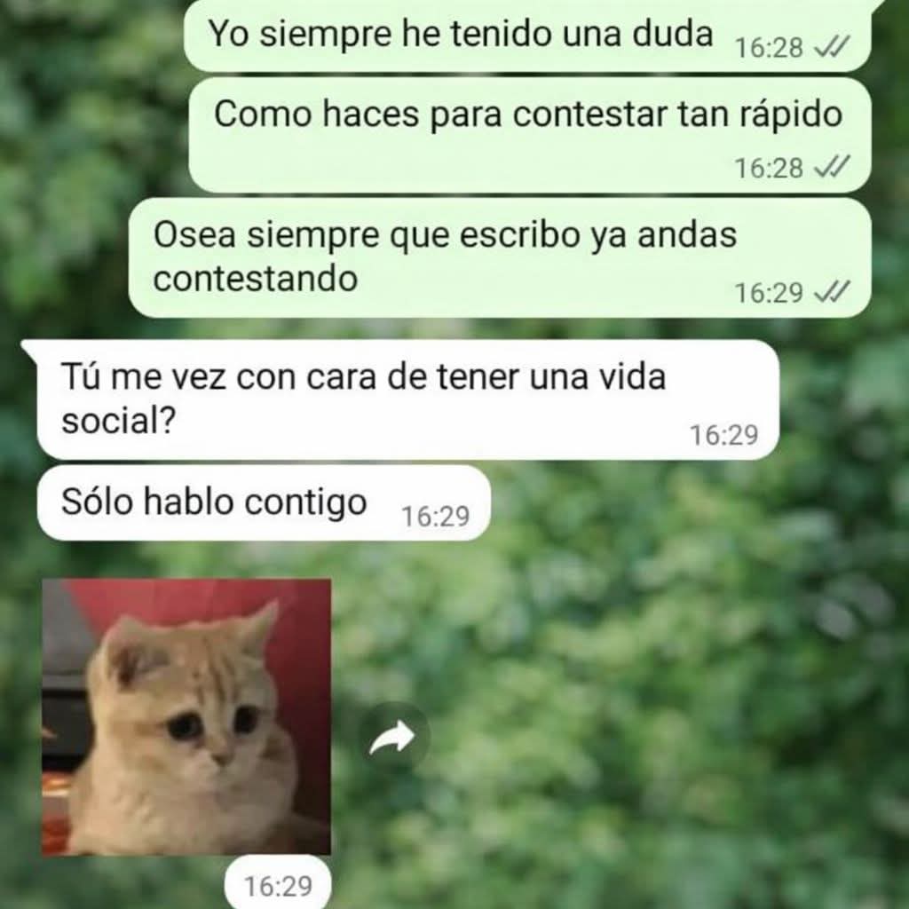 Iray Alvarez tweet media