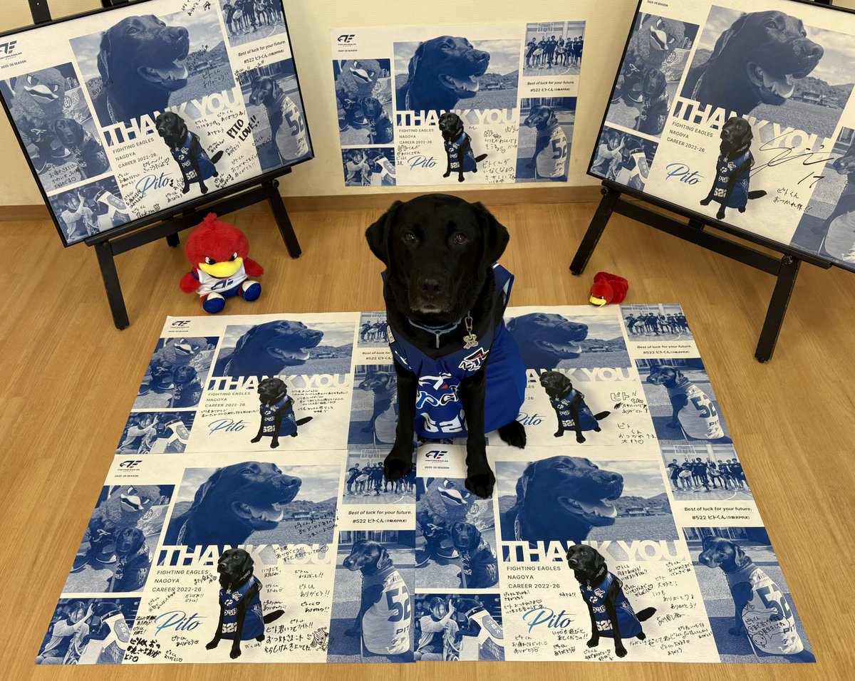 (社福)日本介助犬協会 tweet media