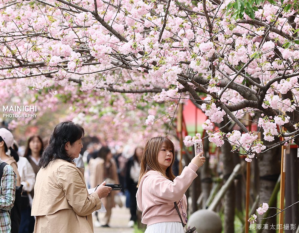 毎日新聞写真部 tweet media