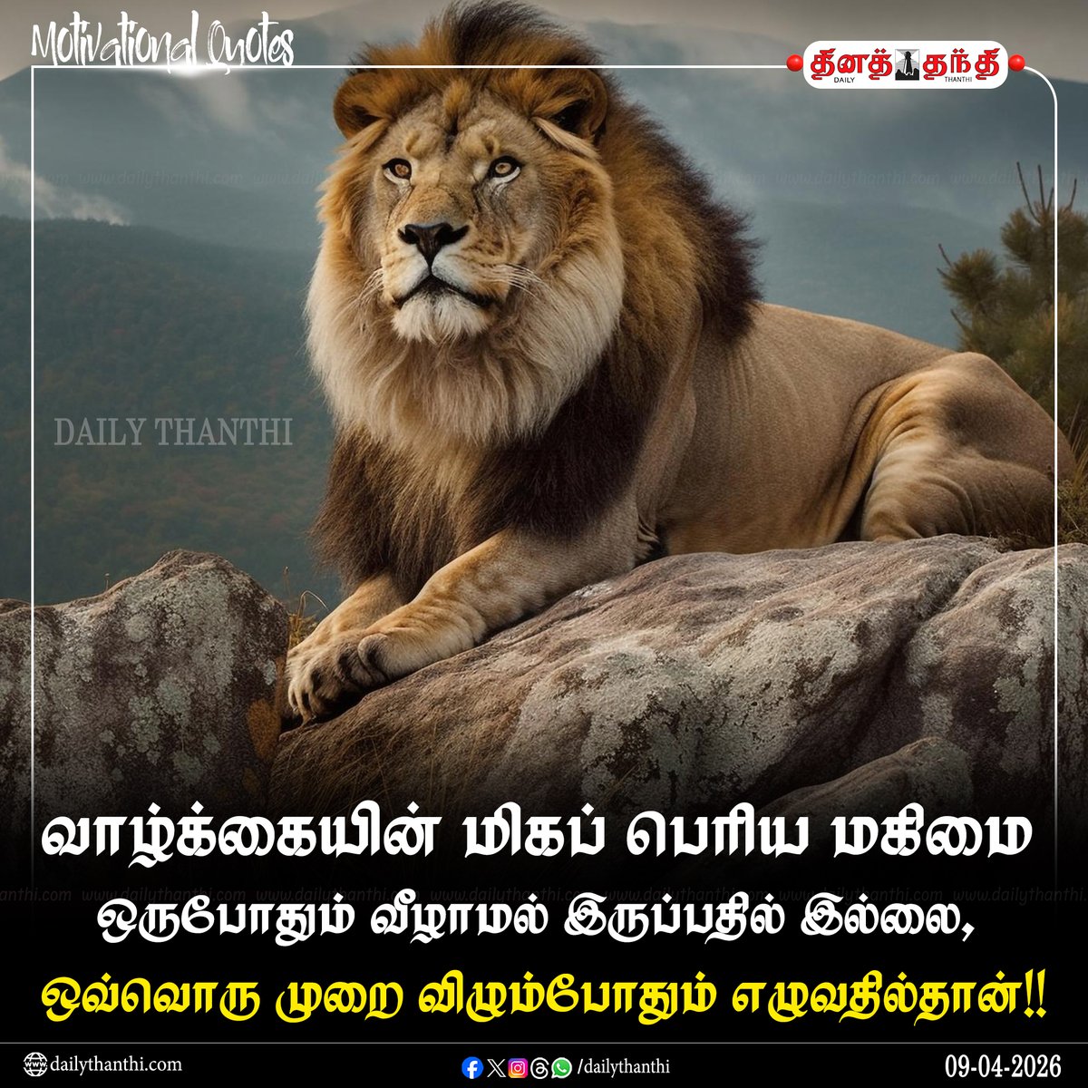 dinathanthi's tweet image. #DailyMotivation | வாழ்க்கையின் மிகப் பெரிய மகிமை ஒருபோதும் வீழாமல் இருப்பதில் இல்லை, ஒவ்வொரு முறை விழும்போதும் எழுவதில்தான்!!

#MotivationalQuotes | #InspirationalQuotes | #DailyThanthi