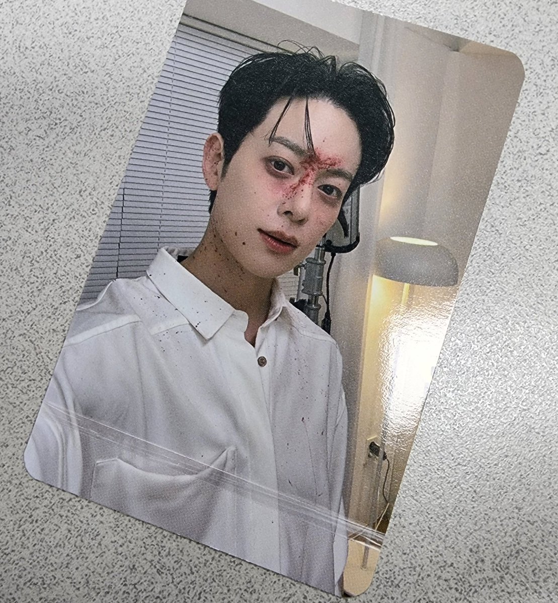 꿈꾸는 냥이 tweet media