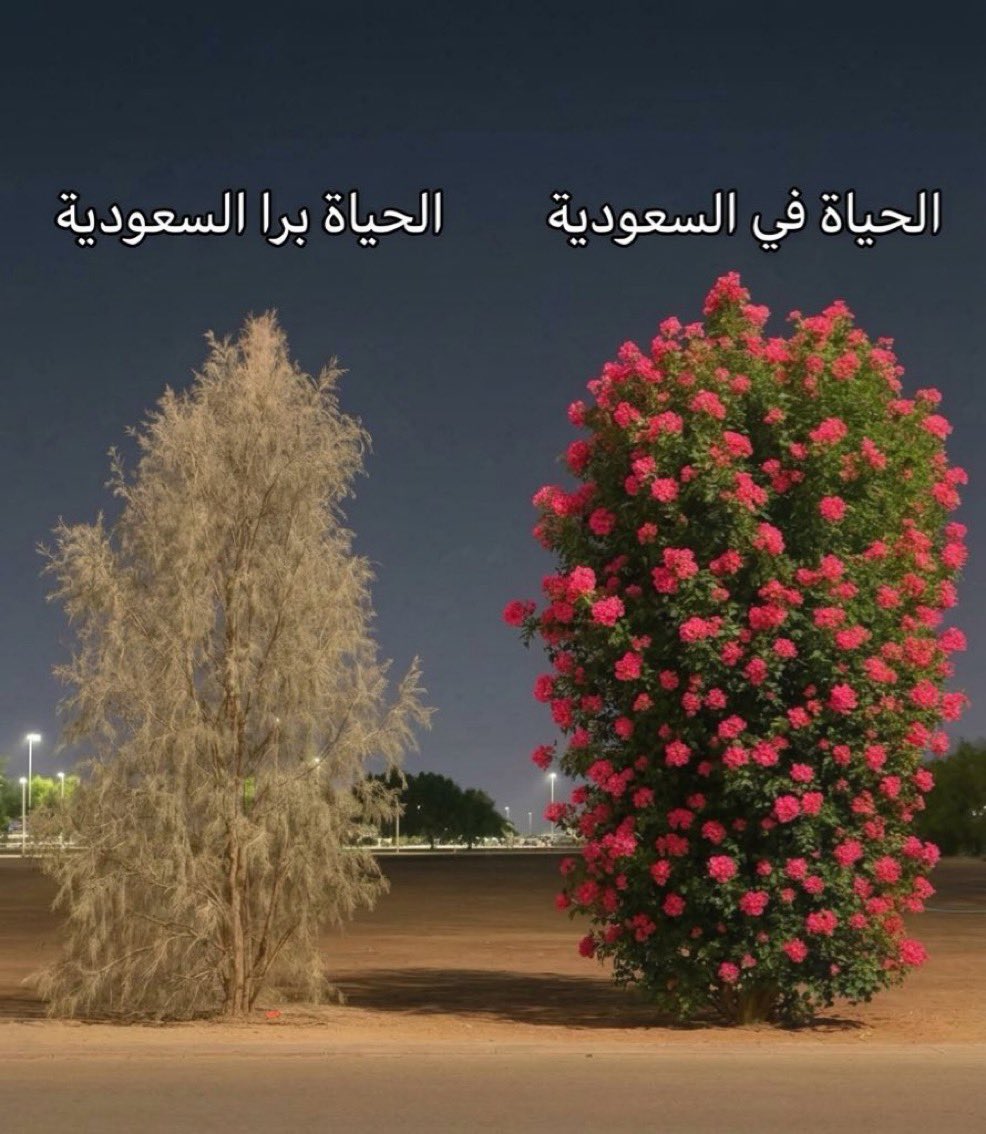 KSA Legacy | 🇸🇦 tweet media