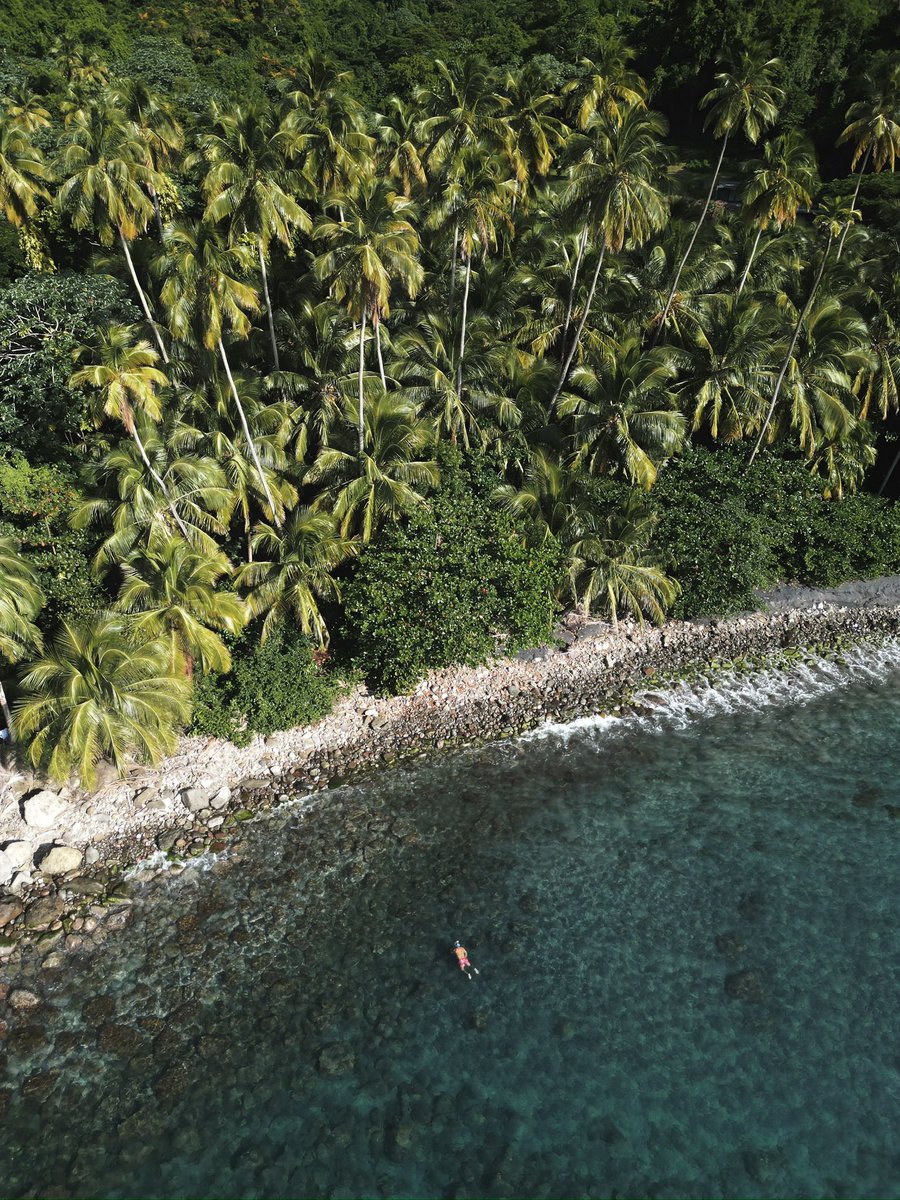 This is Martinique🇲🇶