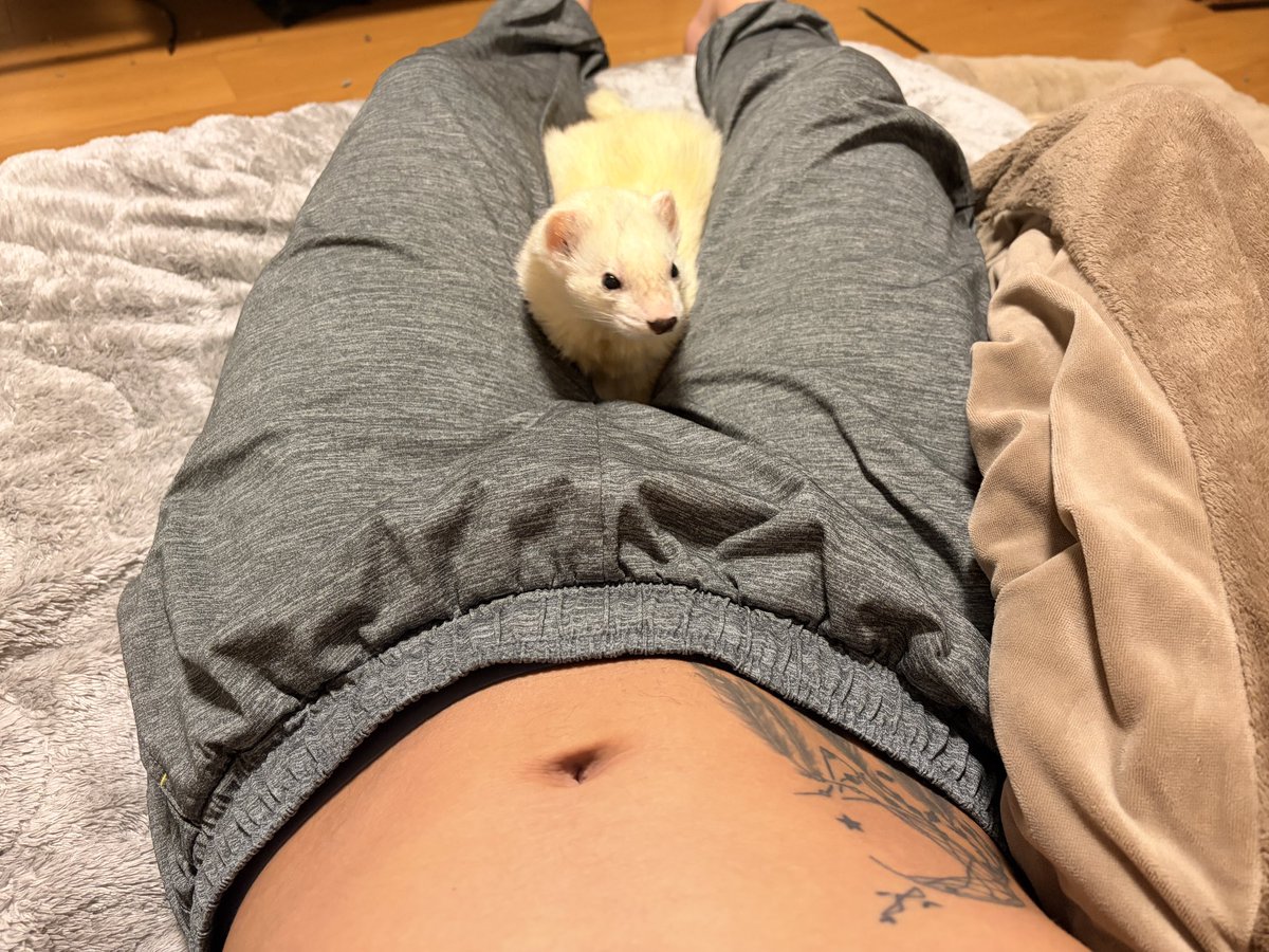 ツキぴ tweet media