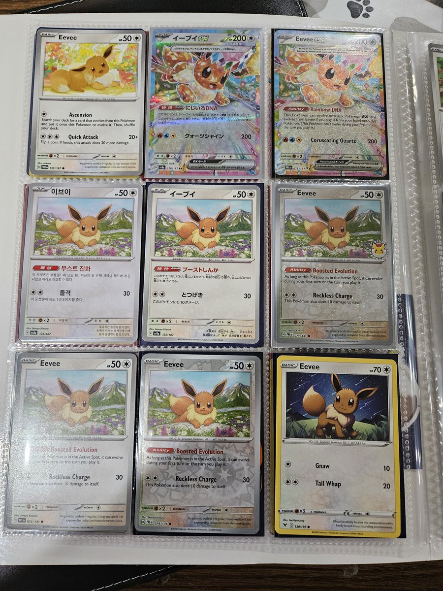 okami909 tweet media