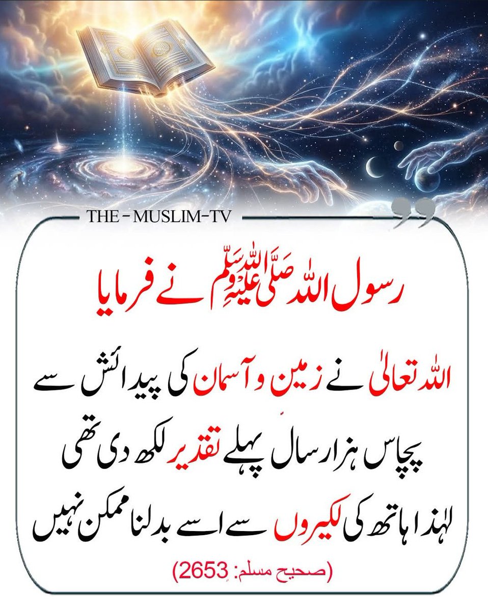 Albatross ❤️ tweet media