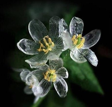 Karen 🌸🌻🌼 tweet media