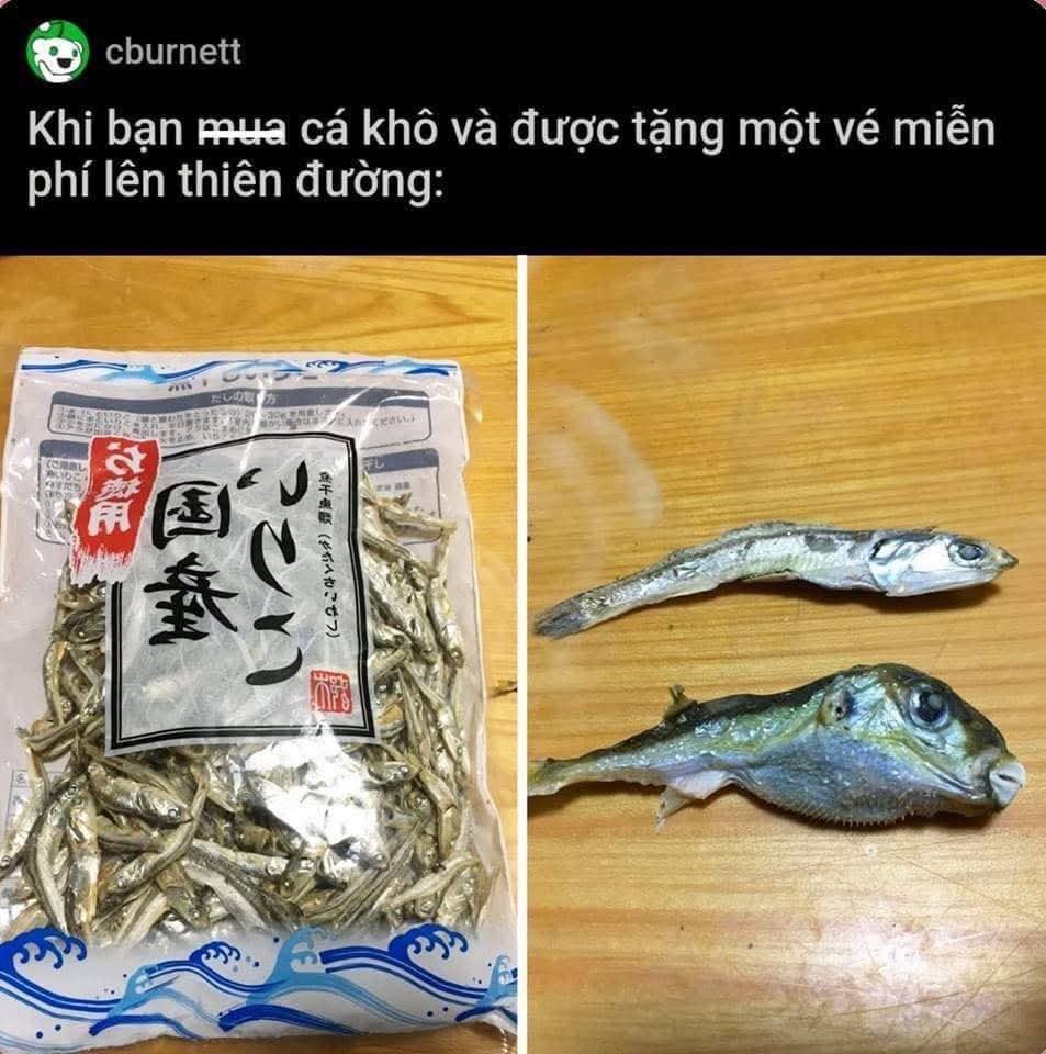 Lã Bất Vi tweet media