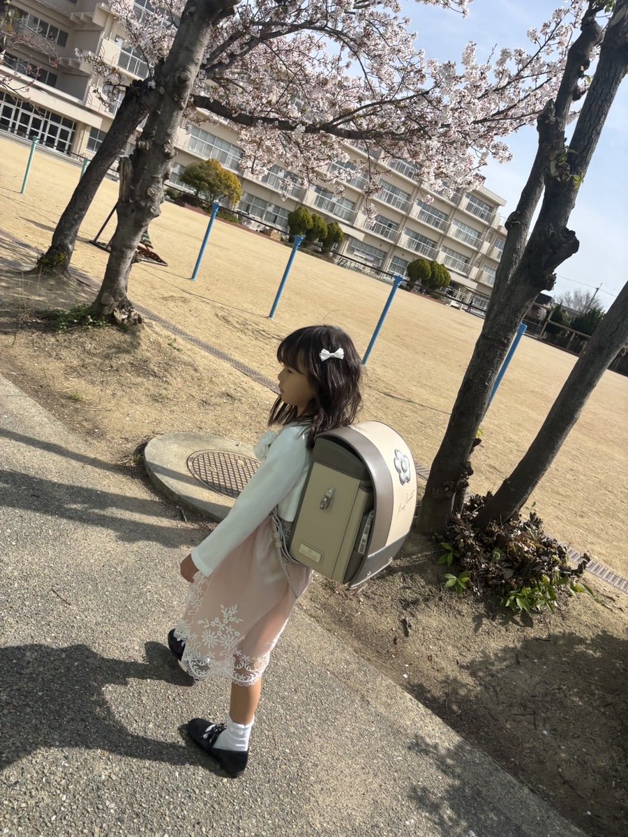 えむ tweet media