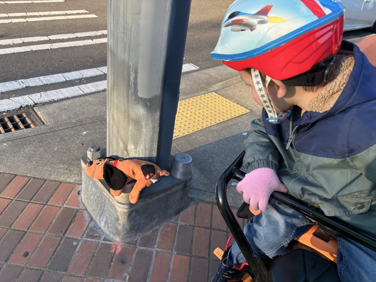 loganb's tweet photo. Max dropped pound puppy on the bike ride home from the rail yard today. We rode all the way back but didn’t see him. 

Max: Maybe pound puppy riding Sounder Train. Around the block
Me: 🥺
Max: Maybe pound puppy taking light rail home
Me: 😭

But just our luck in the ID! https://t.co/RCzs0uadly