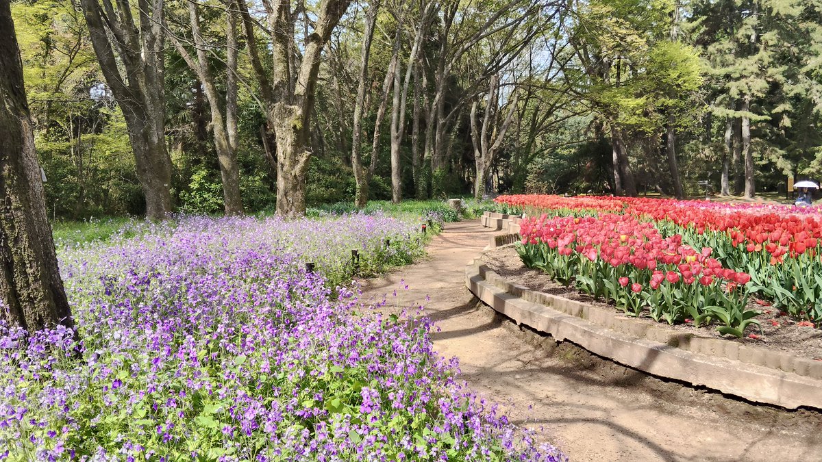 AMETHYSTMusic1's tweet photo. お散歩 https://t.co/KwteQFa1CV
