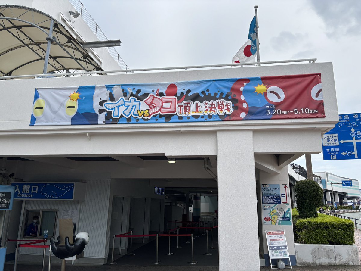 いかいかよしか🦑 tweet media