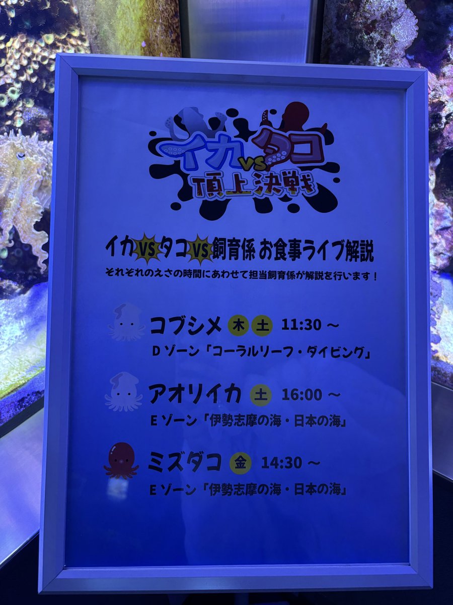 いかいかよしか🦑 tweet media