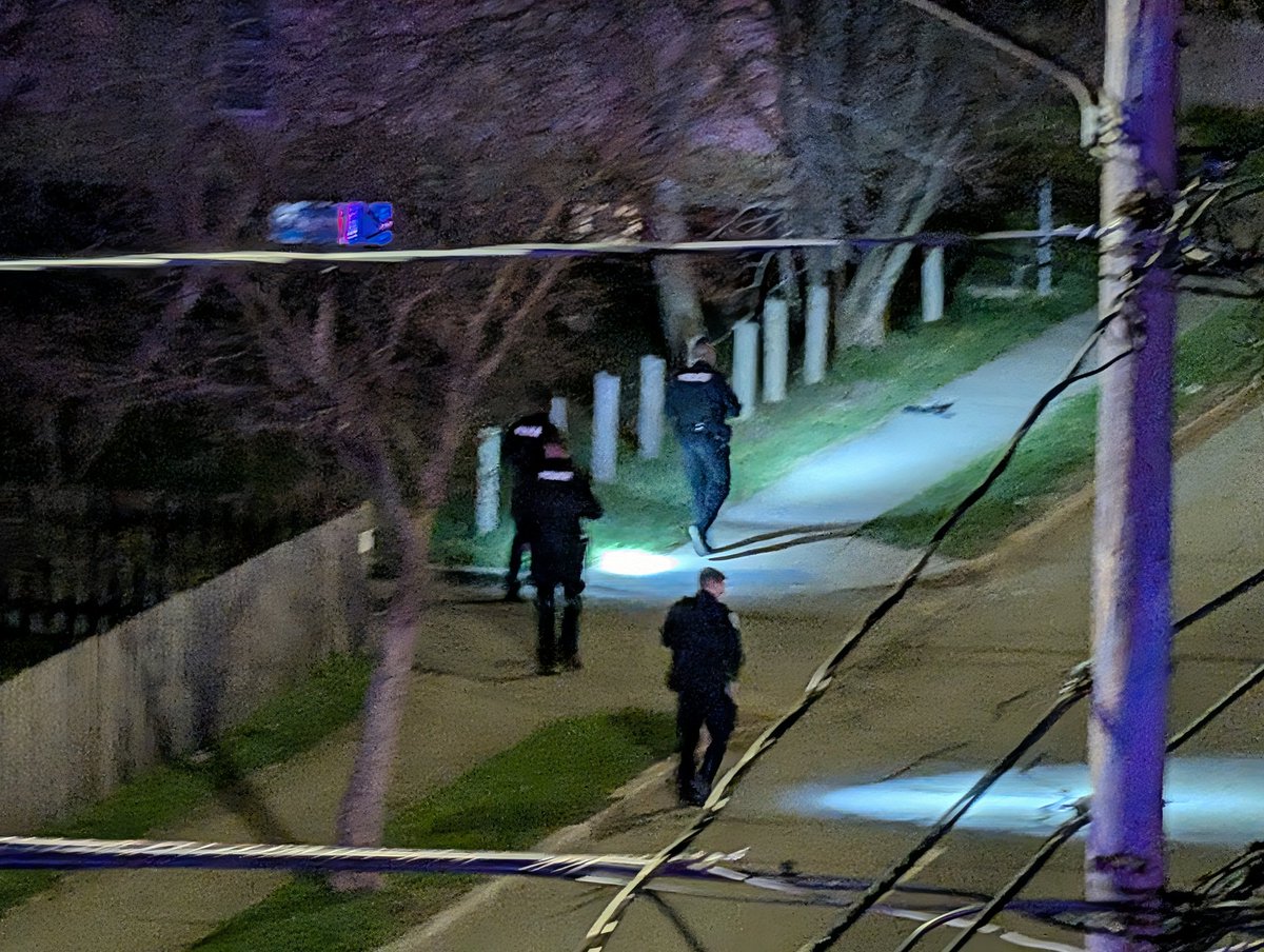 BillsFein tweet media