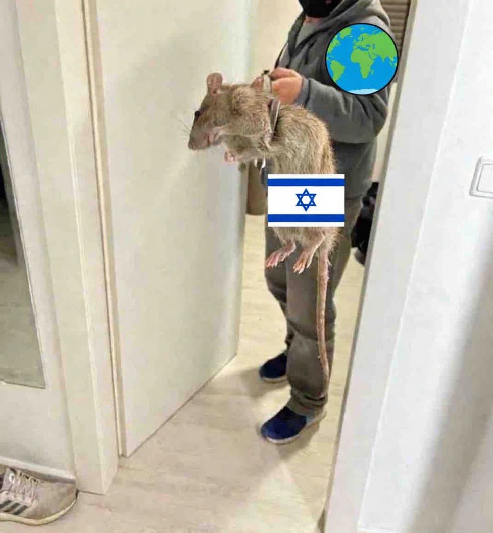 Disciple4Lif's tweet image. #Mirror