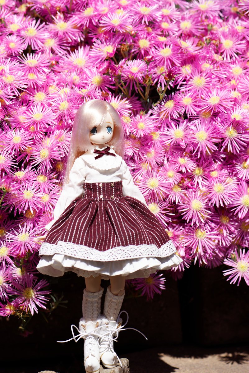 omoikane (@uguu_org) on Twitter photo 