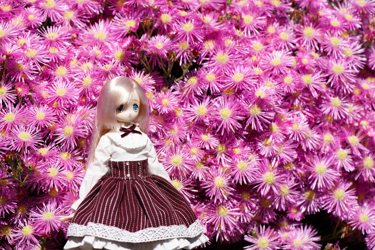 omoikane (@uguu_org) on Twitter photo 