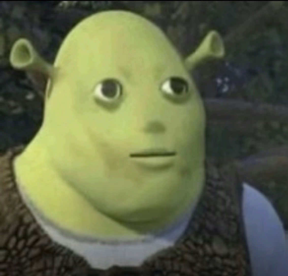 fl4ree #TeamFoundation tweet media