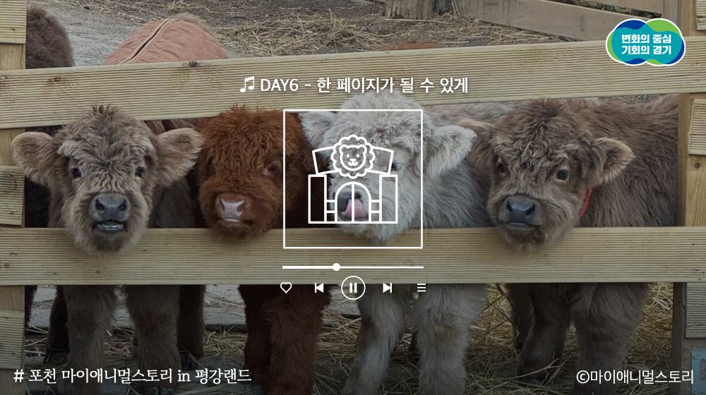 경기도 tweet media