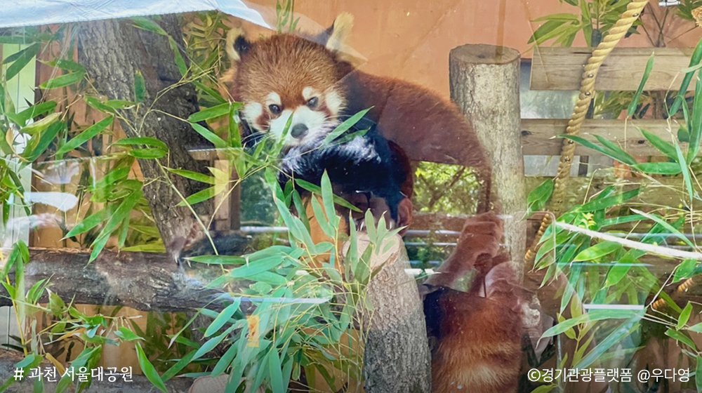 경기도 tweet media