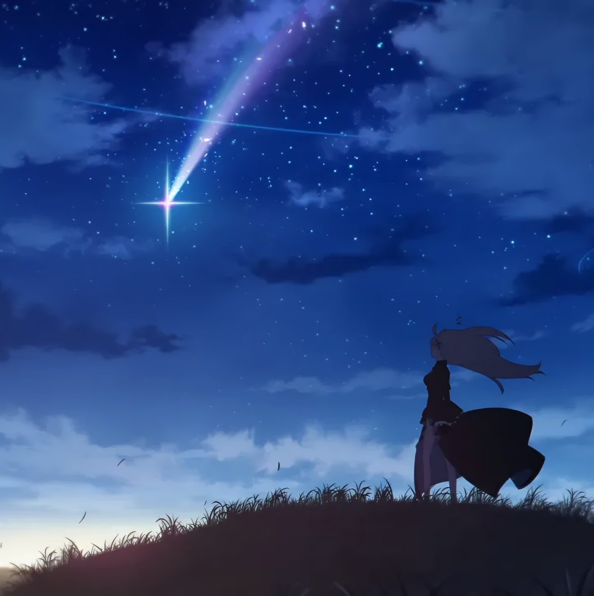 모래늑대🐺 tweet media