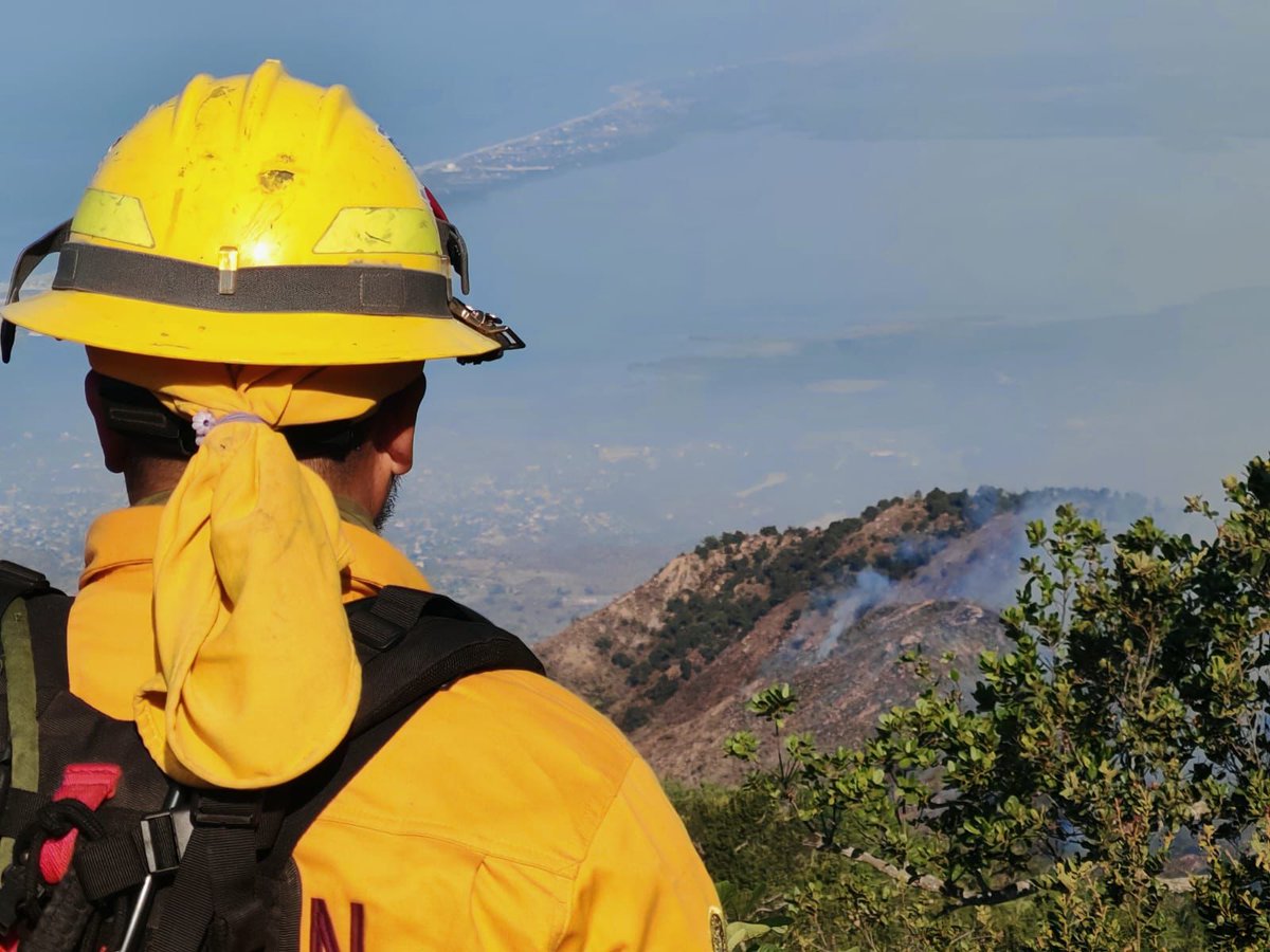 La SGIRPCGRO realiza trabajos de sofocación en nueve incendios forestales en Guerrero
sintesisdeguerrero.com.mx/2026/04/08/la-…