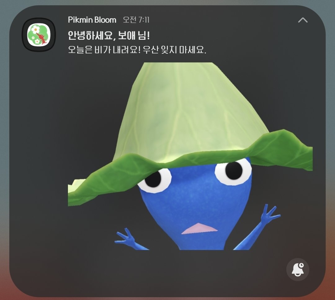 민보애 tweet media