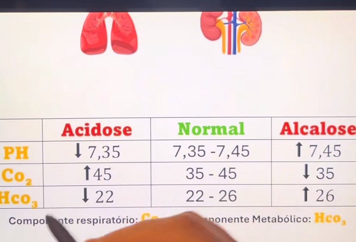 MiauMiau_:) tweet media